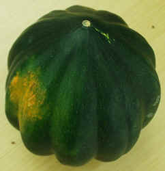 Acorn Squash1007.JPG (50354 bytes)