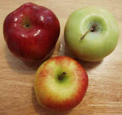 Apple1002a.JPG (51134 bytes)
