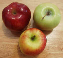 Apple1002b.JPG (51480 bytes)
