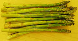 Asparagus1007.JPG (34737 bytes)
