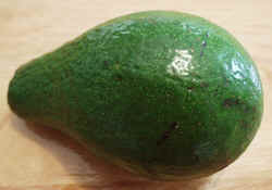 Avacado1002.JPG (39630 bytes)