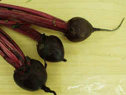 Beets1007.JPG (42736 bytes)