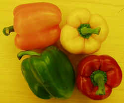 Bell Pepper1007.JPG (41259 bytes)