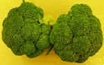 Broccoli1007sm.JPG (18677 bytes)