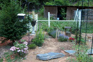 ButterflyGarden June17a.jpg (81187 bytes)