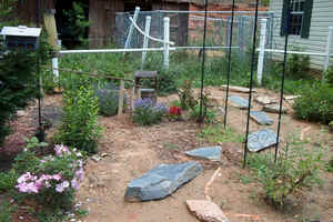 ButterflyGarden June17c.jpg (80070 bytes)