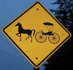 CarriageCrossing0907a.jpg (64935 bytes)