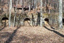 Coke Ovens2.jpg (129317 bytes)