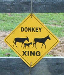 DonkeyCrossing0902.jpg (57707 bytes)