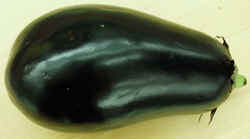 Egg Plant1007.JPG (27827 bytes)