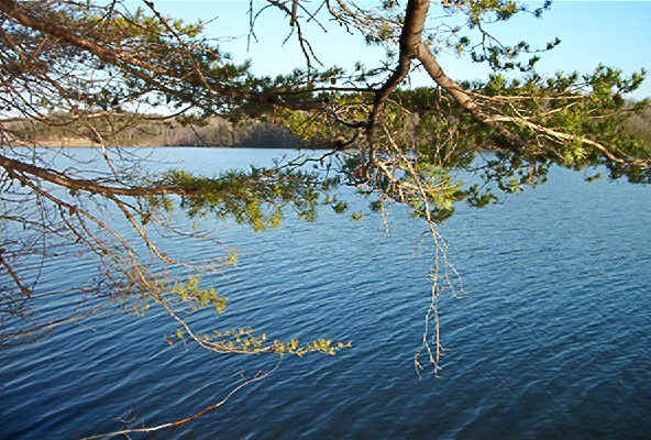 Fall Creek Falls Lake1.jpg (101679 bytes)