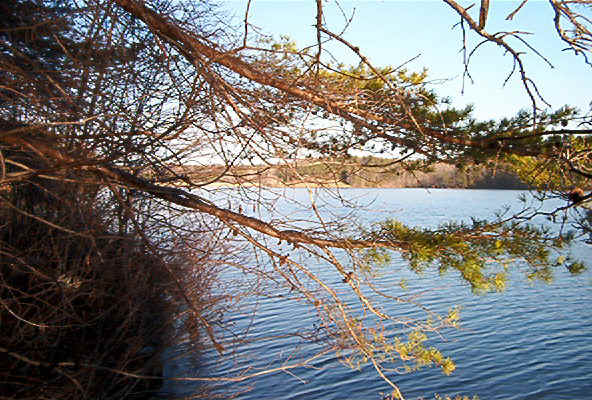 Fall Creek Falls Lake2.jpg (113245 bytes)