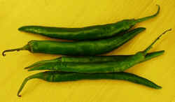 Finger Hot Chili1007.JPG (33219 bytes)