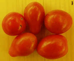 Grape Tomatoes1007.JPG (41062 bytes)