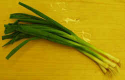 Green Onion1007.JPG (33801 bytes)