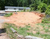 Greenhouse June17a.jpg (39865 bytes)