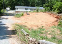 Greenhouse June17b.jpg (35654 bytes)