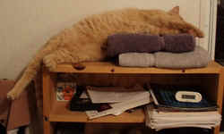 Hobeau013103a.JPG (36109 bytes)