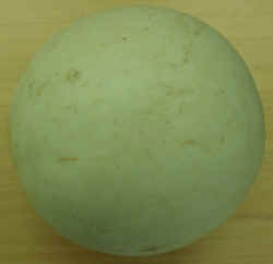 Honeydew1007.JPG (38820 bytes)