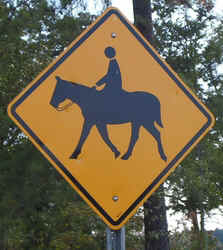HorseCrossing0902a.jpg (65571 bytes)