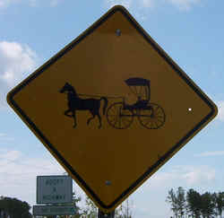 HorseCrossing0902b.jpg (52581 bytes)