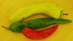 Hugarian Wax Chili1007.JPG (30151 bytes)