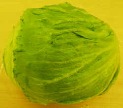Iceburg Lettuce1007.JPG (46625 bytes)