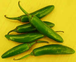 Jalapeno Pepper1007a.JPG (44627 bytes)