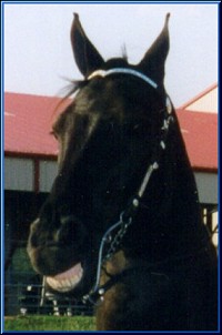 Street Justice  ~  He knows FUNNY :o)