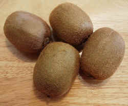 Kiwi1002.JPG (49210 bytes)
