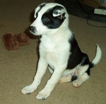 Lady1.jpg (22174 bytes)