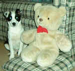 Lady & Red Bow.jpg (25924 bytes)