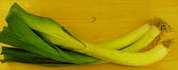 Leeks1007.JPG (23175 bytes)