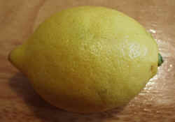 Lemon1002.JPG (35259 bytes)