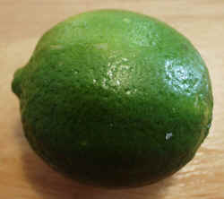 Lime1002.JPG (47214 bytes)