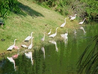 MVC-001S.JPG (37378 bytes)