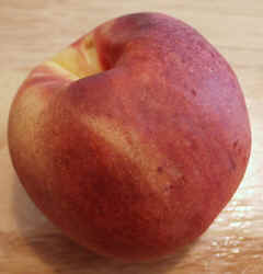 Nectarine1002.JPG (48873 bytes)