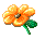 Openingflower.gif (9114 bytes)