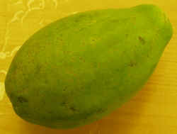 Papaya1007.JPG (37675 bytes)