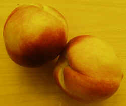 Peaches1007.JPG (38794 bytes)