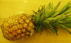 Pineapple1007.JPG (42035 bytes)
