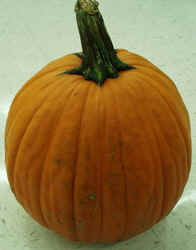 Pumpkin1007.JPG (42728 bytes)