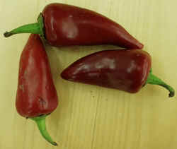 Red Fresno Chili1007.JPG (42306 bytes)