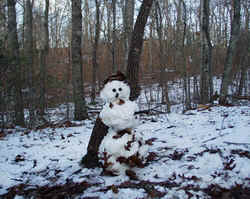 Snowman012503a.JPG (68199 bytes)