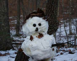 Snowman012503b.JPG (53288 bytes)