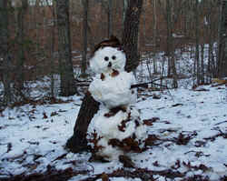 Snowman012503c.JPG (64644 bytes)