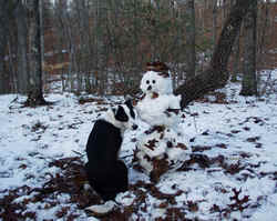 Snowman012503d.JPG (66095 bytes)