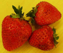 Strawberry1007.JPG (54976 bytes)