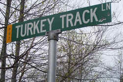 Turkey Track.jpg (61115 bytes)