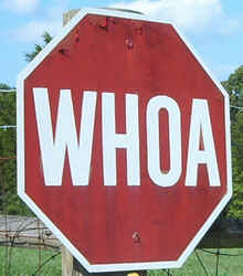 Whoa0902.jpg (56237 bytes)